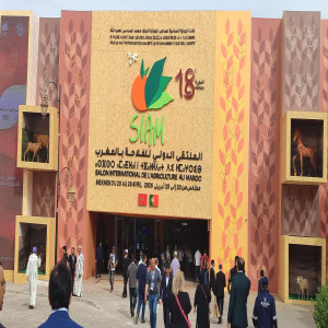 رياضة